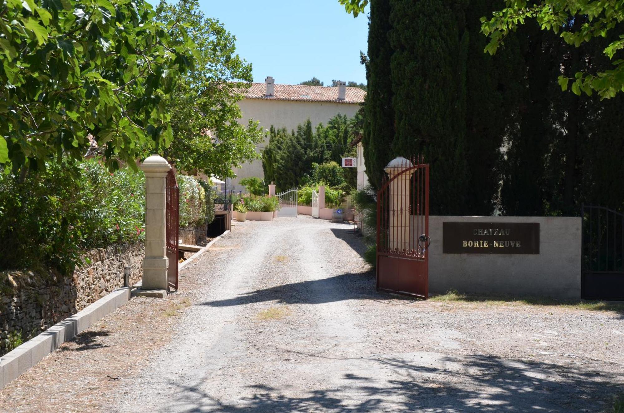 Chateau Borie Neuve Badens Exterior foto