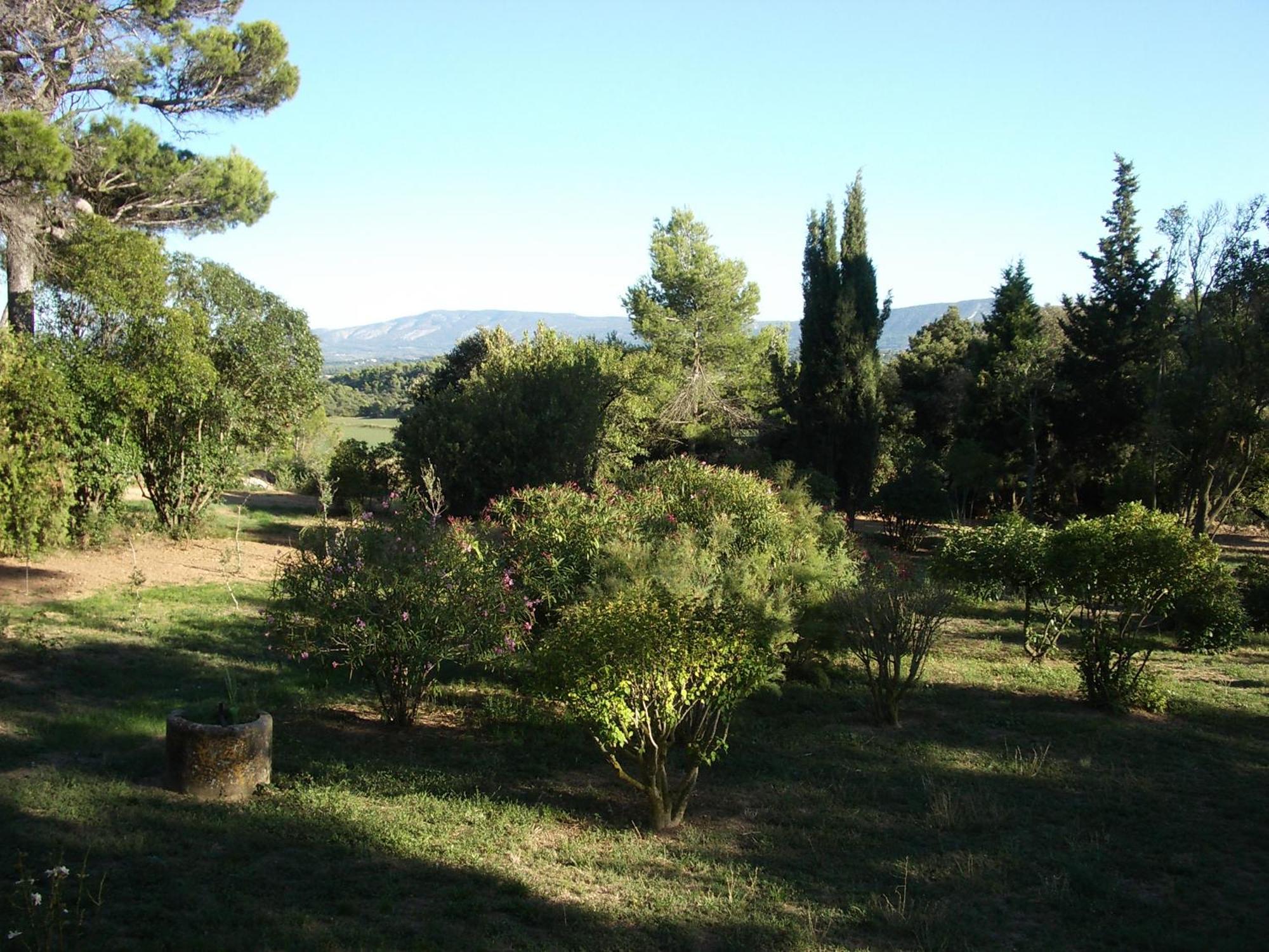 Chateau Borie Neuve Badens Exterior foto